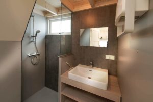 Salle de bain comprenant une douche et un lavabo