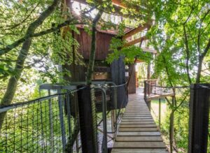 logement atypique dans la Marne, cette cabane dans les arbres est accessible par une passerelle