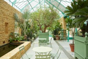 serre intérieure avec plantes