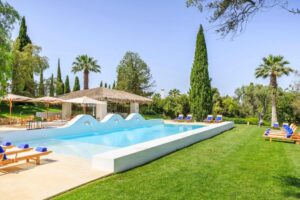 piscine de l'hôtel avec une forme de vague et les transats dans la pelouse