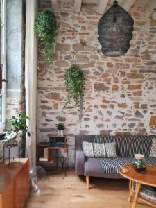 salon avec mur en pierre apparente et décoration naturelle