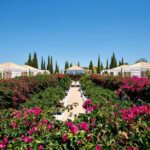 vue extérieure des chambres avec les arbustes en fleurs à l'hôtel Octant Vila Monte
