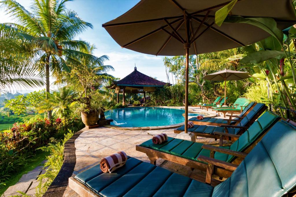 piscine et transat au milieu des rizières à Sidemen