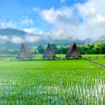 lodge au milieu des rizières dans le nord de la Thaïlande