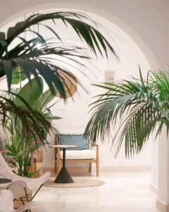 Lobby d'un Boutique hôtel pas cher et très cosy en plein centre de Madrid