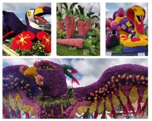 corso fleuri, parade du Bollenstreek avec des chars couverts de fleurs fraîches