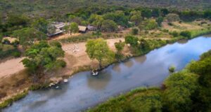 rivière Sadie dans une réserve d'animaux privée en Afrique du Sud pour safari et observation des big five