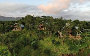 vue exterieure de la maison en location vacances au milieu de la nature à Chamarel