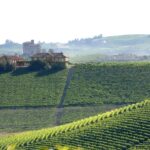 Vue de l'hôtel Villagio Narrante Cascina Galarej depuis les vignes du Barolo dans le Piémont
