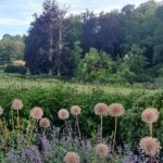 vue panoramique de verdure à la campagne avec champs, fleurs et arbres