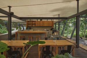 restaurant de l'hôtel ouvert sur la végétation de la jungle