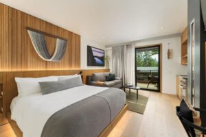 chambre d'hôtel studio cosy et cocooning avec kitchenette, extérieur et feu de cheminée à South Lake Tahoe
