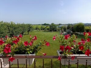 vue sur la campagne depuis les chambres de l'agriturismo