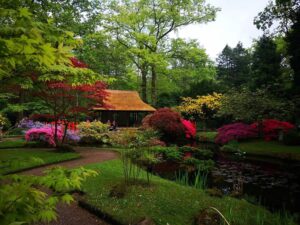 jardin japonais ouvert 2 fois par an dans le parc Clingendael de La Haye