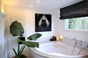 salle de bain de la maison en plus de la salle de douche