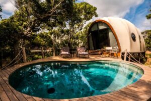 tente lodge avec piscine privéeau Wild Coast Tented Lodge au Sri Lanka
