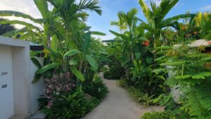 allée à la végétation luxuriante qui mène aux villas privées dans l'hôtel