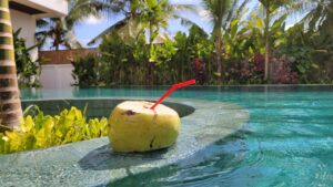 noix de coco fraîche à déguster au bord de la piscine commune de l'hôtel à Siem Reap
