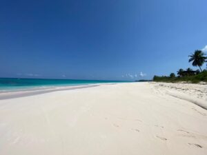 plages de sable rose sur l'île d'Eleuthera aux Bahamas