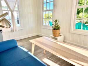 séjour à l'intérieur du cottage avec espace salon, mini-frigo, machine à café et micro-ondes