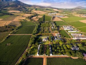 immense domaine au milieu des vignes de la vallée du Franschhoek