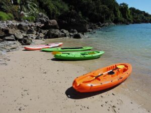 kayak et stand up paddle mis à disposition des clients de la chambre d'hôtes