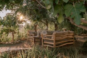 salon de jardin pour se reposer à l'ombre des figuiers