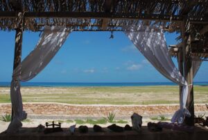vue panoramique sur la mer avec uniquement de la nature autour de l'hôtel