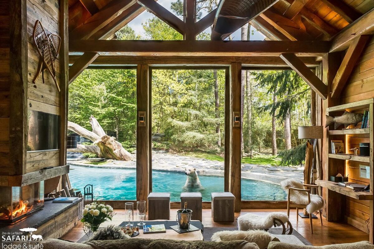 séjour d'un lodge avec vue sur le bassin des ours polaire au Safari Lodge du Zoo de la flèche