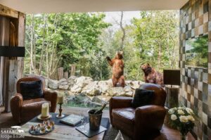 séjour avec vue panoramique sur les ours pour un séjour inoubliable et incroyable au Zoo de la Flèche