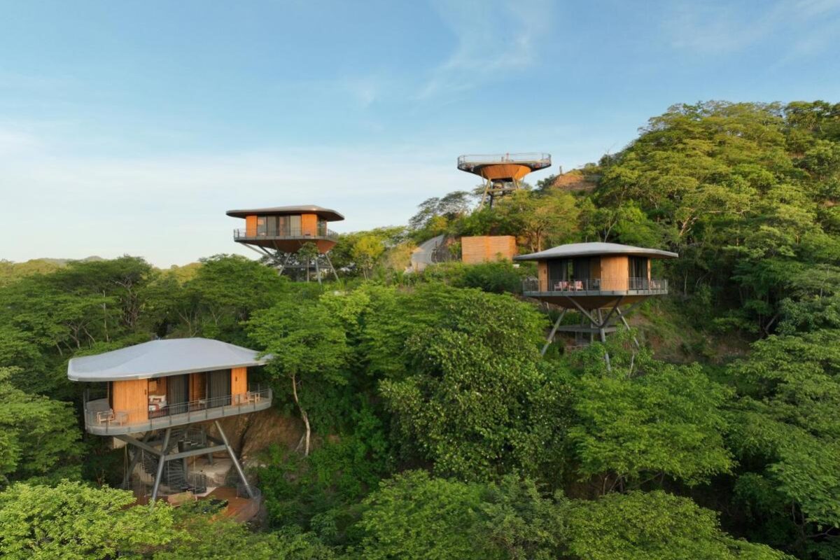vue des suites sous forme de cabane perchée dans les arbres à l'hôtel Suitree Experience Hotel au Costa Rica