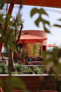 toit terrasse de l'apaprt'hôtel, végétalisé et comprenant en plus de la piscine, de nombreux espaces détentes
