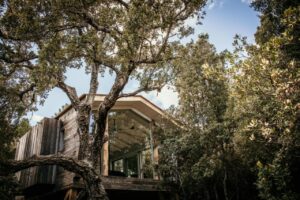 suites sous forme de cabane cachée dans la végétation pour un séjour intimiste, romantique et en pleine nature