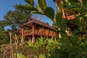 bungalows sur pilotis nichés dans la végétation de la région de Champassak au Laos