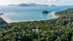 vue aérienne de la plage et de l'hôtel niché au milieu de la vég&tation