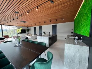 intérieur de la villa moderne avec un séjour comprenant la salle à manger et une cuisine ouverte