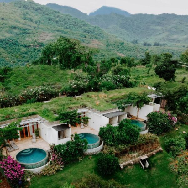 vue aérienne des villas avec toit végétalisé et piscine privée dans le nord-ouest de Bali