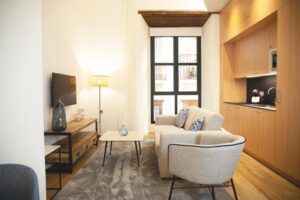 salon cosy et chaleureux dans un appartement touristique à louer à Séville