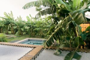 petite piscine extérieure privée au milieu de la végétation luxuriante et bordée de filets de catamaran pour se détendre