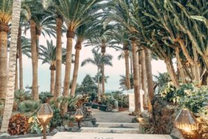 jardin et allées extérieures de l'hôtel