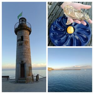 Cancale port et ses fameuses huitres