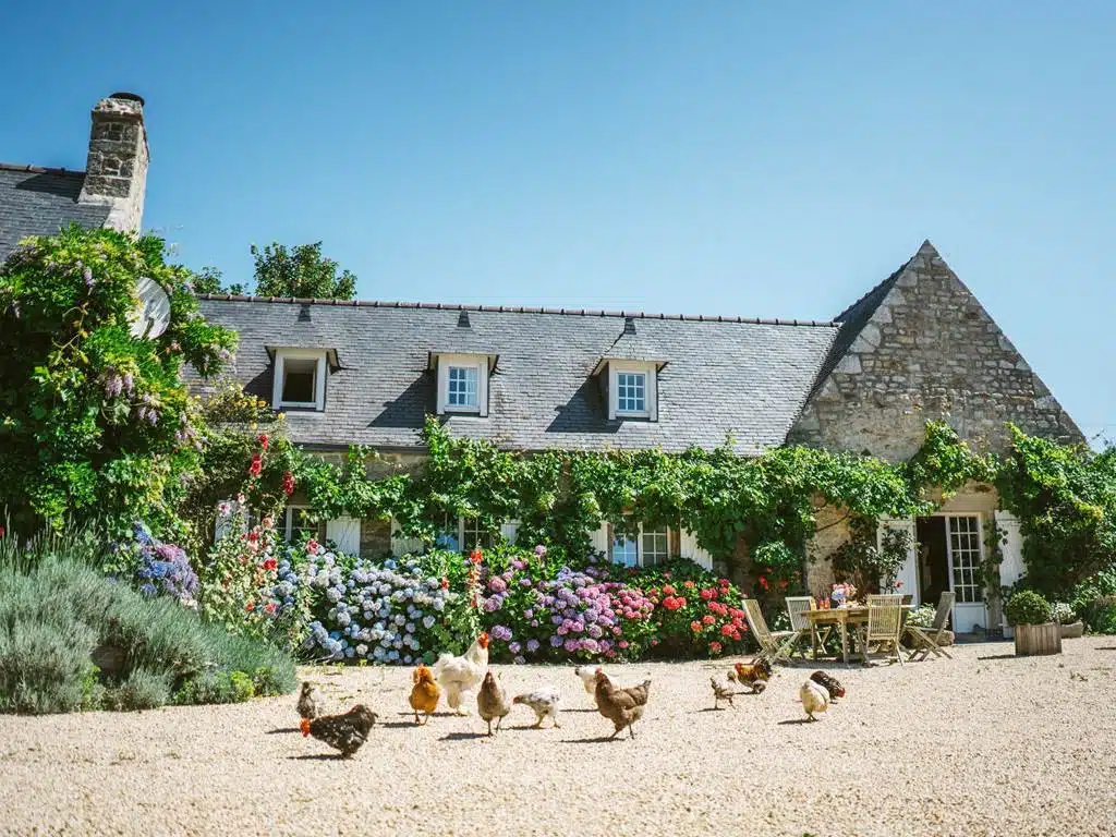 vue extérieure de la chambre d'hôtes de charme dans le Finistère avec les hortensias en fleur