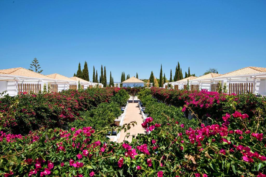 vue extérieure des chambres avec les arbustes en fleurs à l'hôtel Octant Vila Monte