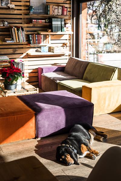 Coin salon et bibliothèque pour se détendre après une randonnée ou une journée de ski par exemple