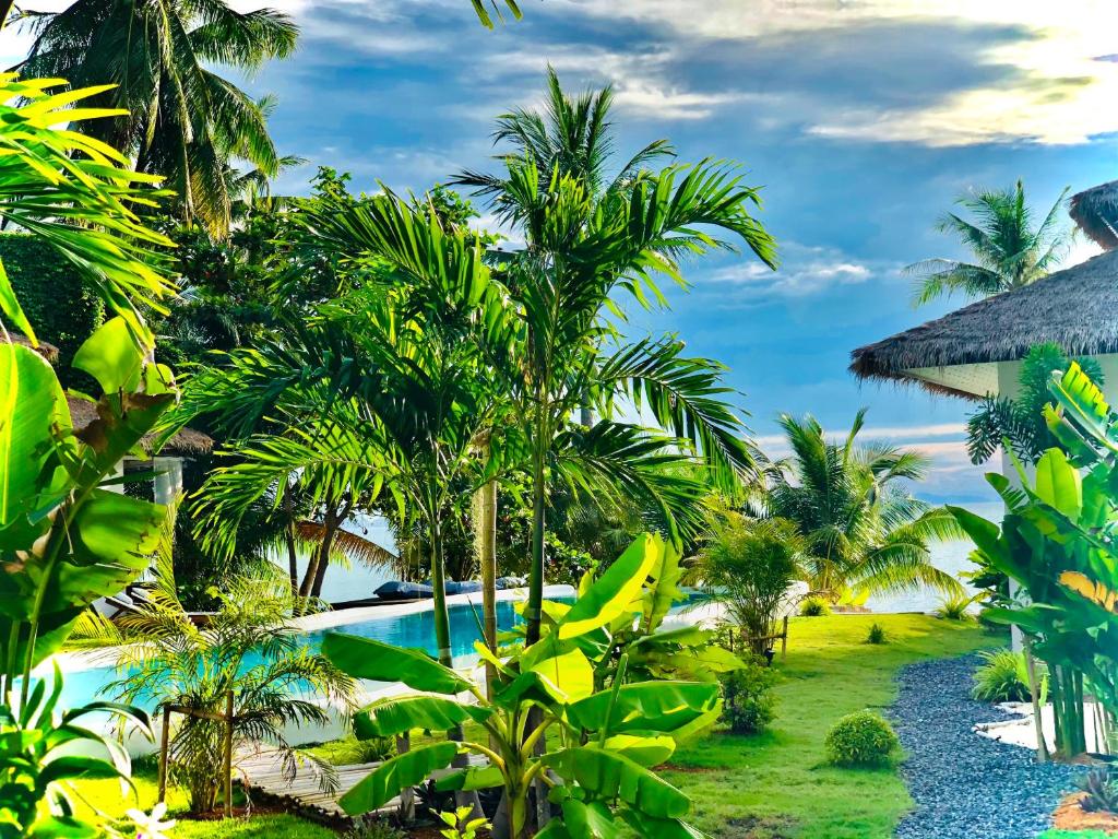 végétation luxuriante au bord de plage de Hin Kong sur l'île de Ko Phangan en Thaïlande