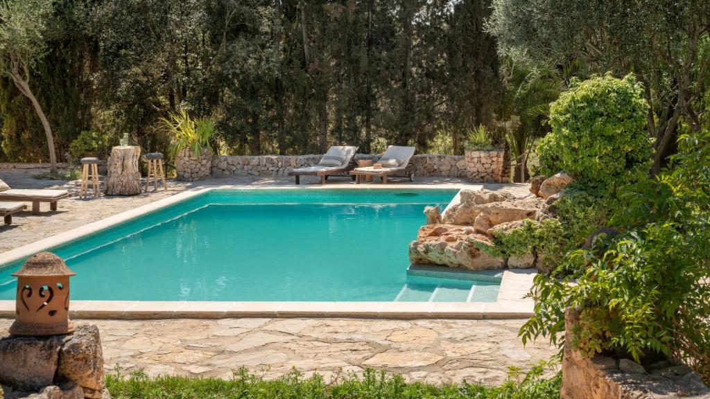 piscine extérieure au milieu du jardin