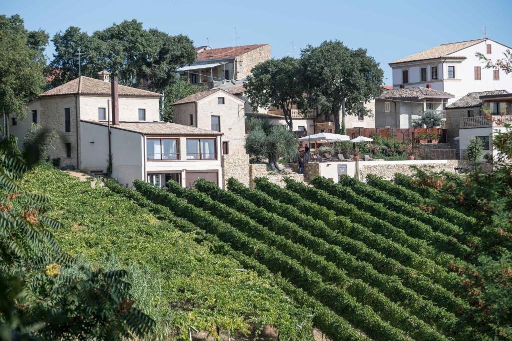 Hôtel avec vue panoramique dans les vignes des Abruzzes en Italie