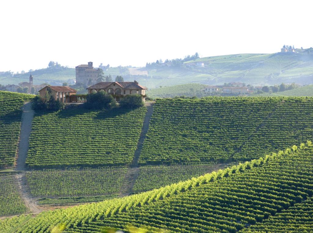 Vue de l'hôtel Villagio Narrante Cascina Galarej depuis les vignes du Barolo dans le Piémont