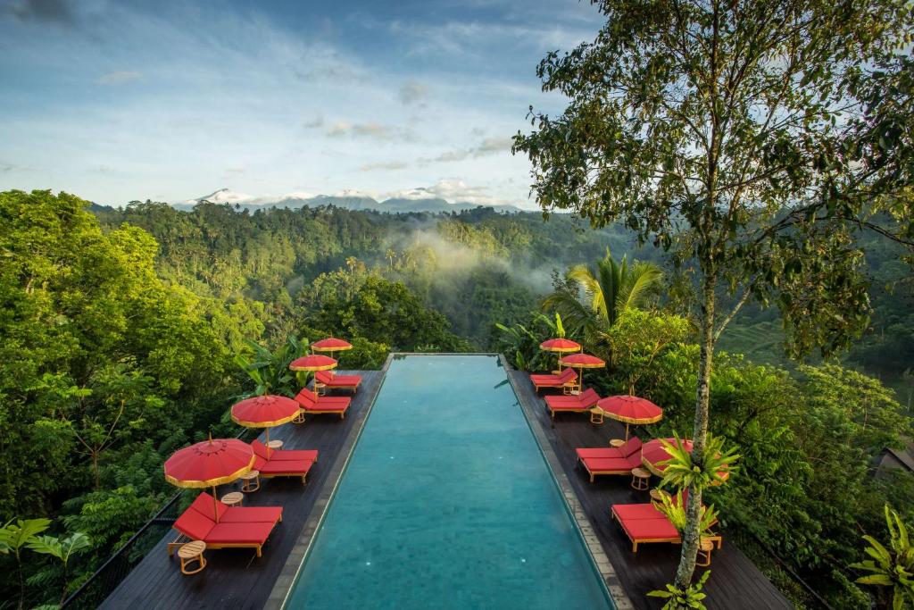 piscine d'hôtel au milieu de la jungle au centre de Bali