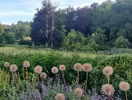 vue panoramique de verdure à la campagne avec champs, fleurs et arbres